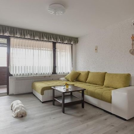 Family Apartment Nakiteya Любляна Экстерьер фото